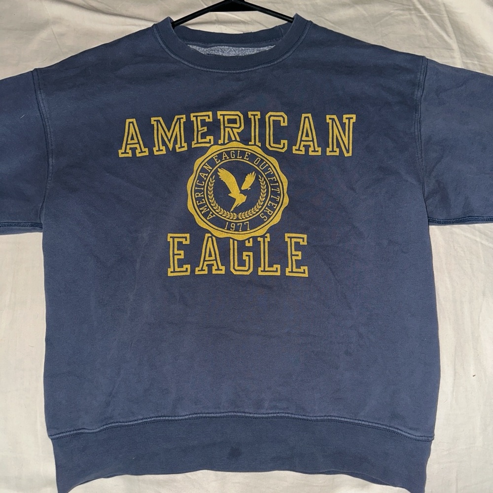 American Eagle Outfitters Blue Crewneck Sweater